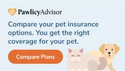 PawlicyAdvisor