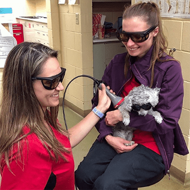 Laser therapy - Mischief (2) Laser therapy - Mischief (2)