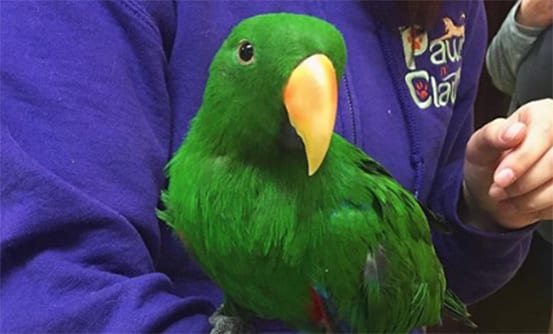 Bird Vet in Wilton, NY