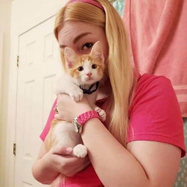 saratoga-staff-holding-kitten Cat Boarding and daycare in Wilton, NY
