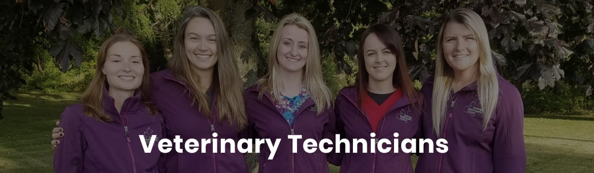 veterinary-technicians Veterinary Staff in Wilton, NY