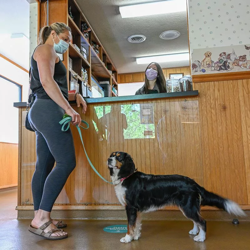 pet owner with receptionist at front lobby