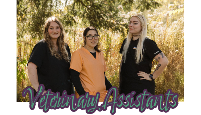 Saratoga-Vet-Assistants-2-1 Saratoga-Vet-Assistants-2-1
