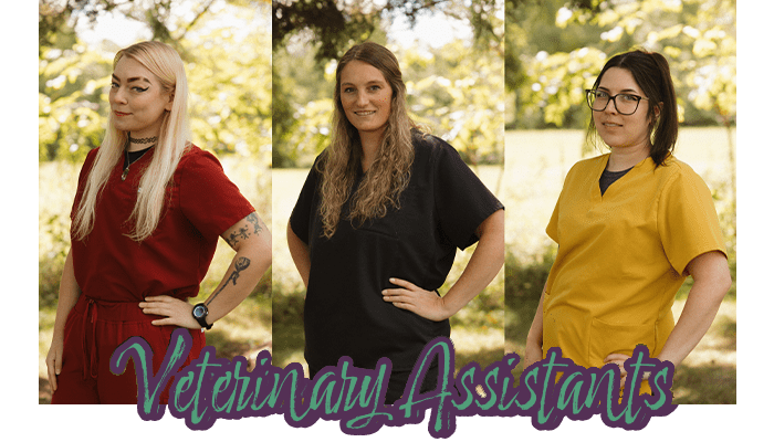 collage of 3 women with cursive writing at bottom that says "Veterinary Assistants"