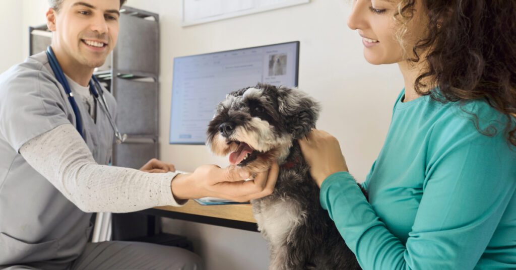female dog owner holding dog in her lap while talking with male vet at clinic